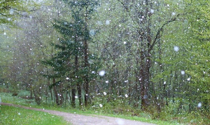 МЧС предупреждает о мокром снеге и сильном ветре в Пермском крае 8 мая