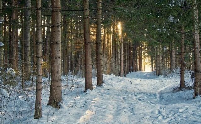 В Пермском крае 30 января начнется потепление