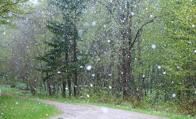 В Прикамье на неделе ожидается холодная погода и снег