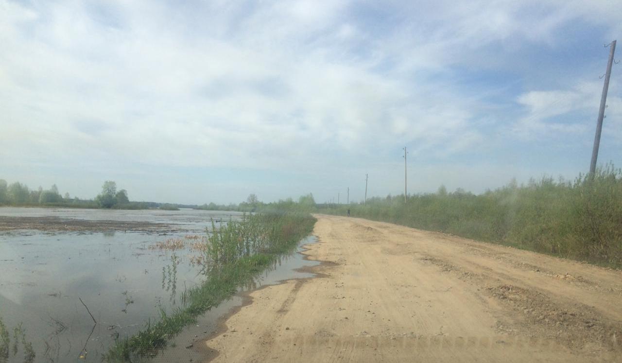 В Прикамье вода подбирается к сельской дороге