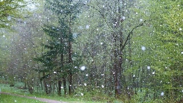 В Пермском крае ожидаются дожди со снегом