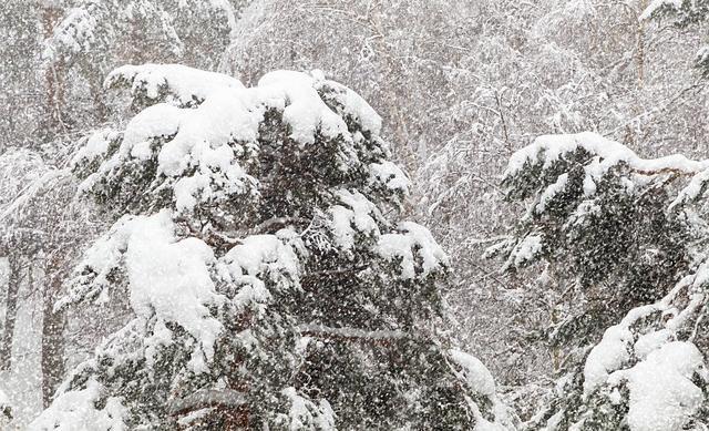 МЧС предупреждает о сильном снеге, метели и гололеде в Прикамье