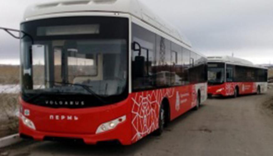 В Пермь поступило еще 10 новых автобусов