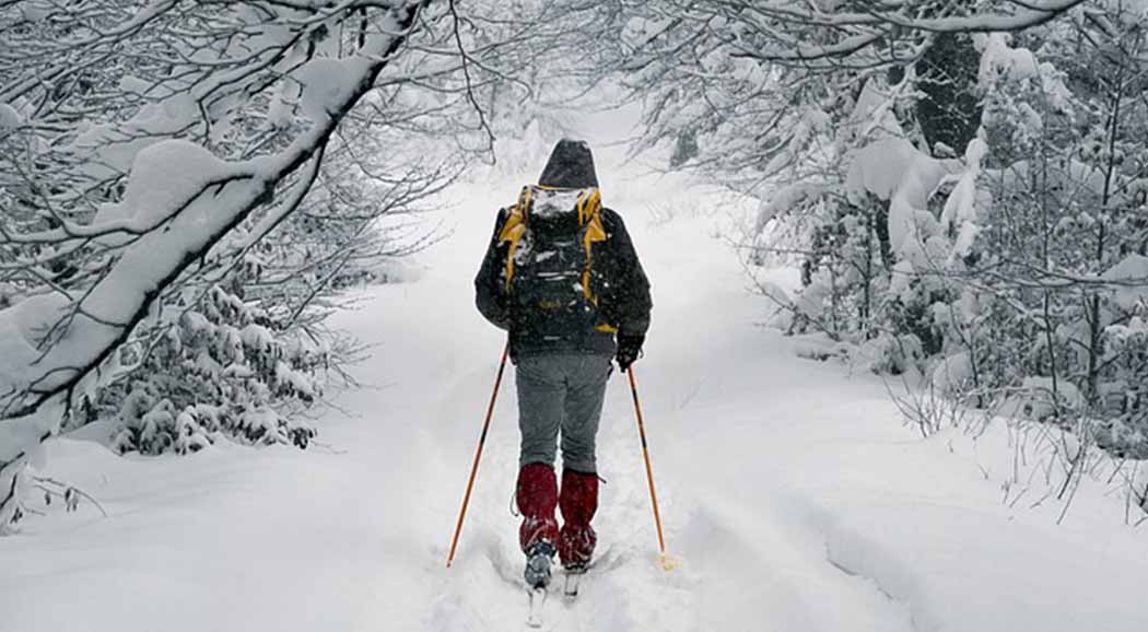 В Прикамье охотник 10 часов шел на лыжах за помощью для друга