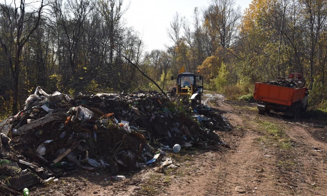 В лесах Пермского края выявлено 175 крупных свалок мусора