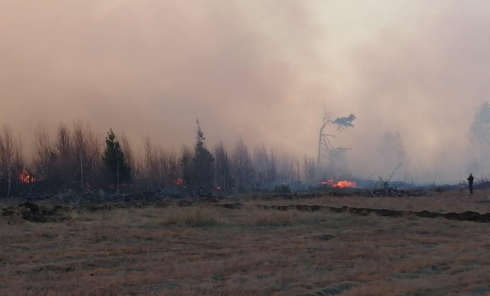 На юге Пермского края бушуют лесные пожары