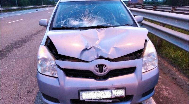 В Пермском крае водитель иномарки насмерть сбил пешехода