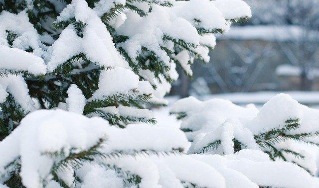 Синоптики пообещали пермякам снегопад на Новый год