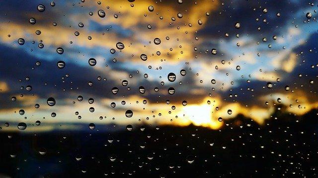 В Прикамье ожидается теплая неделя с дождями