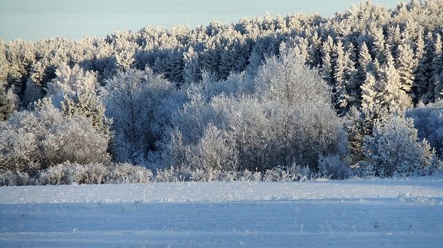 Синоптики рассказали о погоде на декабрь в Пермском крае 