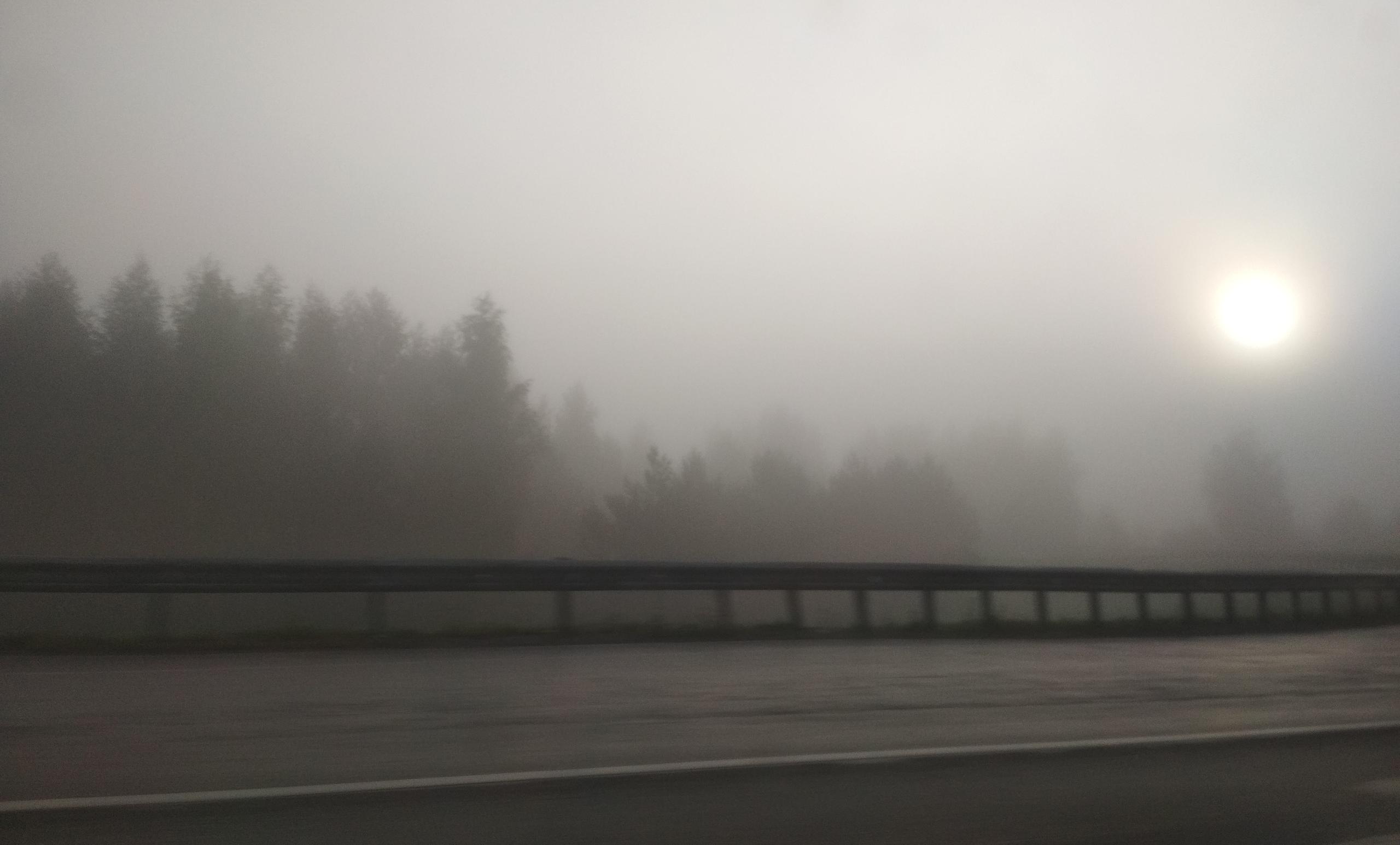Пермь и окрестности окутал густой туман