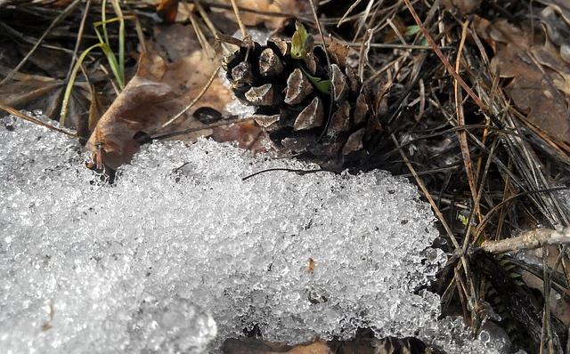 В Прикамье ожидается самая сильная за всю зиму оттепель
