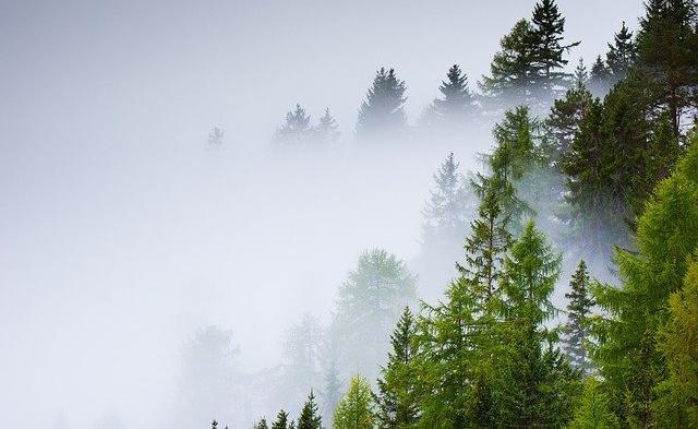 МЧС предупреждает о дожде с грозой, тумане и ветре в Прикамье