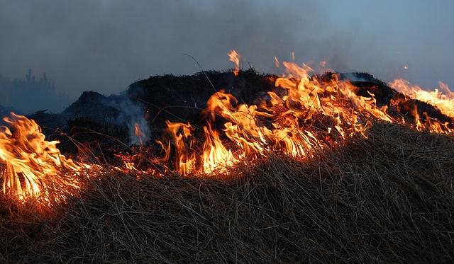 В Прикамье из-за теплой погоды начала гореть сухая трава