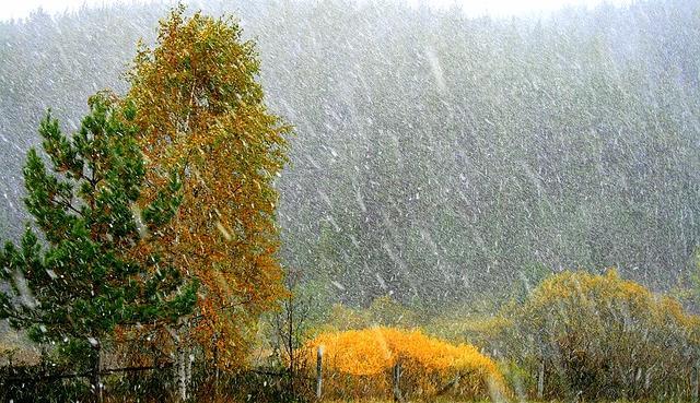 29 августа в Пермском крае может выпасть снег