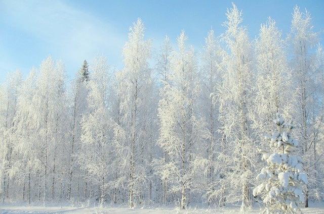 В выходные в Перми ожидается похолодание и снег