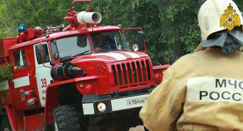 В Пермском крае потерявшаяся семья вышла из леса на выстрелы пожарного