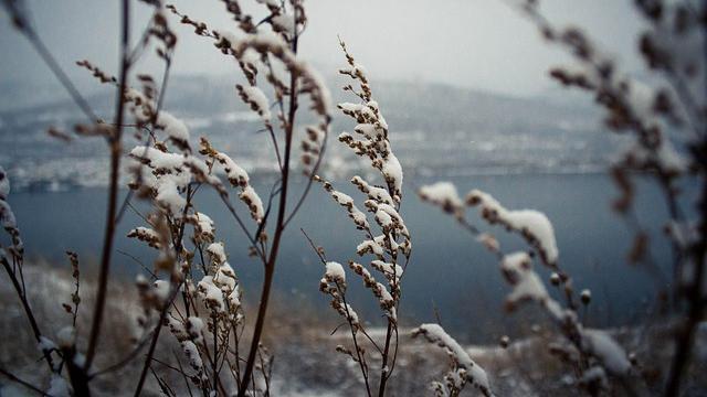 МЧС предупреждает о сильных порывах ветра в Пермском крае
