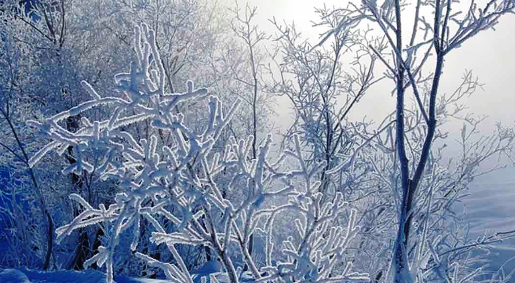 Арктическое вторжение: в Пермском крае похолодает до -30 градусов