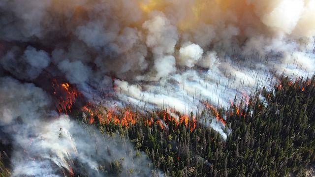 Высокая пожарная опасность объявлена в Пермском крае