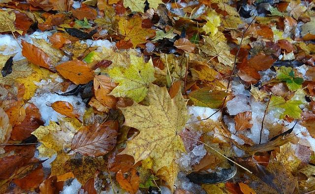 МЧС предупредило о снеге с дождем и заморозках в Прикамье