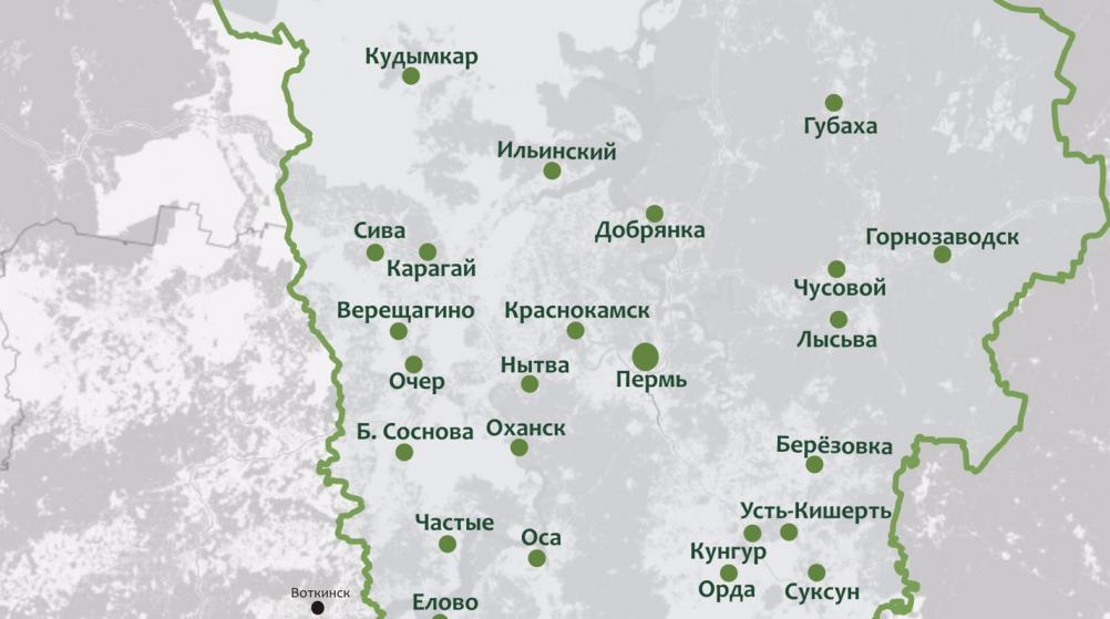 В Пермском крае случаи COVID-19 выявлены 29 муниципалитетах