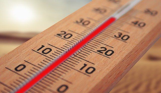 В Пермском крае на неделе ожидается аномальная жара до +35 градусов