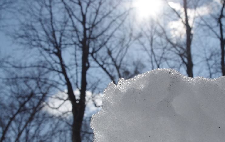 1 февраля стало самым теплым днем в Перми с конца декабря