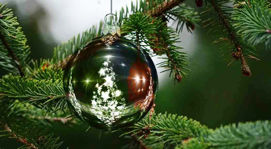 В Перми начали устанавливать главную новогоднюю елку