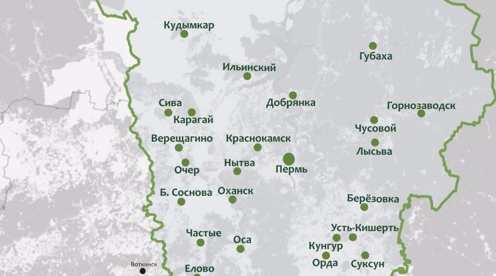 В Пермском крае за сутки коронавирус выявлен в 33 муниципалитетах