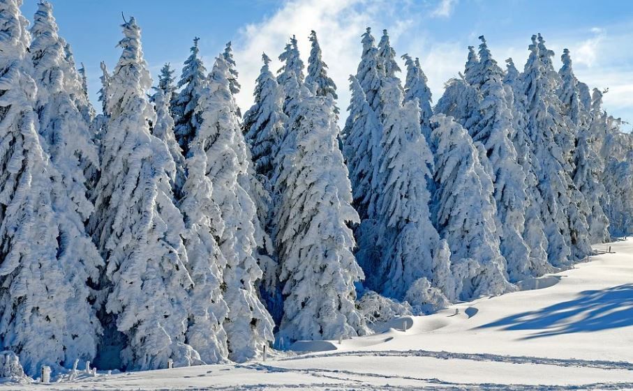 В Пермском крае на неделе ожидаются снегопады и потепление до -2 градусов