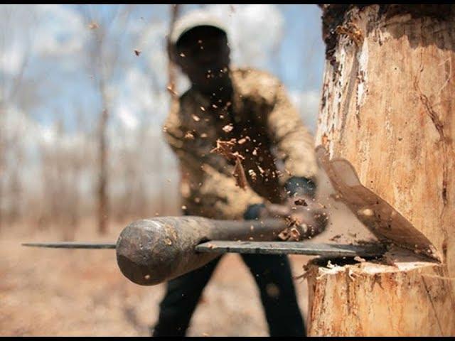 В Пермском крае поймали «черного лесоруба»