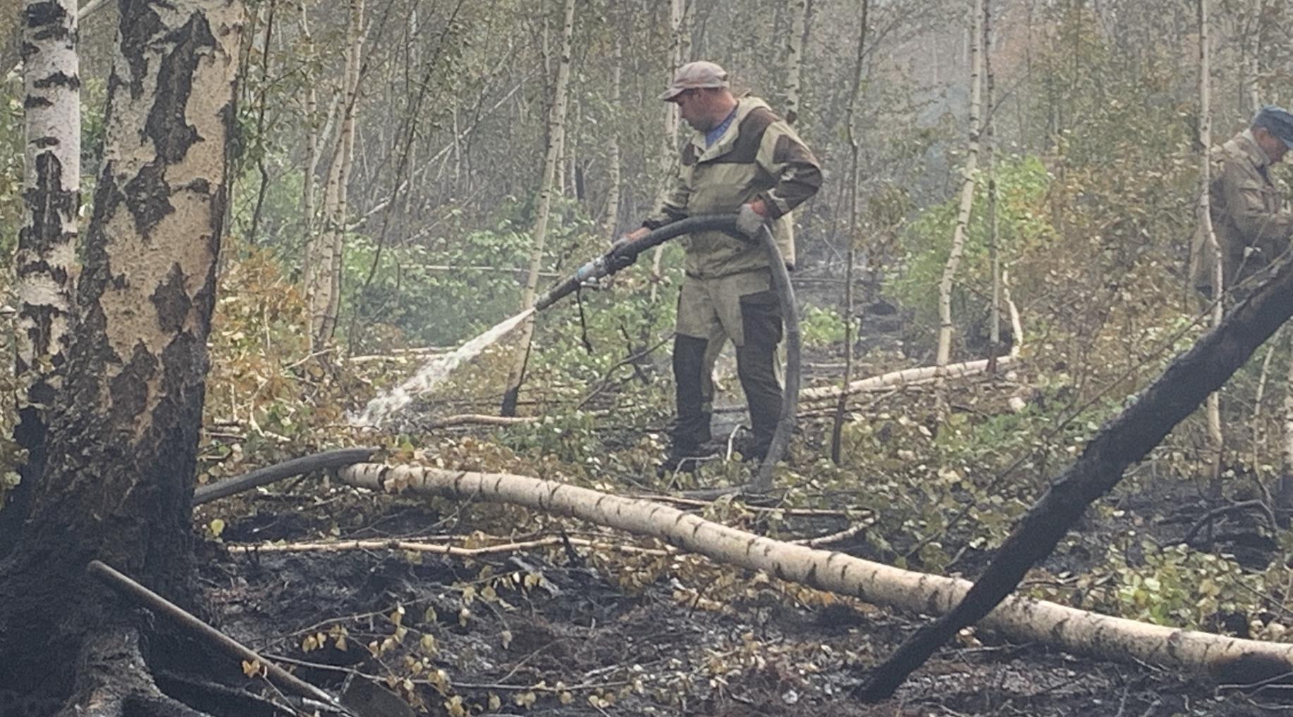 Под Краснокамском потушили лесной пожар 