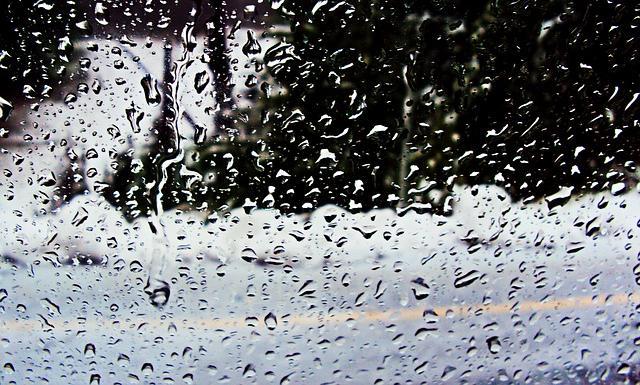 Дождливая и теплая погода ожидается в выходные в Прикамье