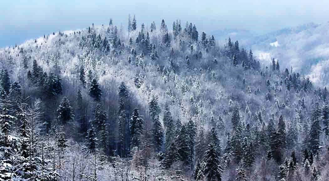 В Пермском крае ожидается аномально холодная неделя