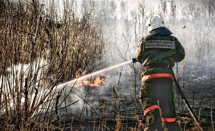 В Пермском крае зафиксировано 29 случаев горения сухой травы