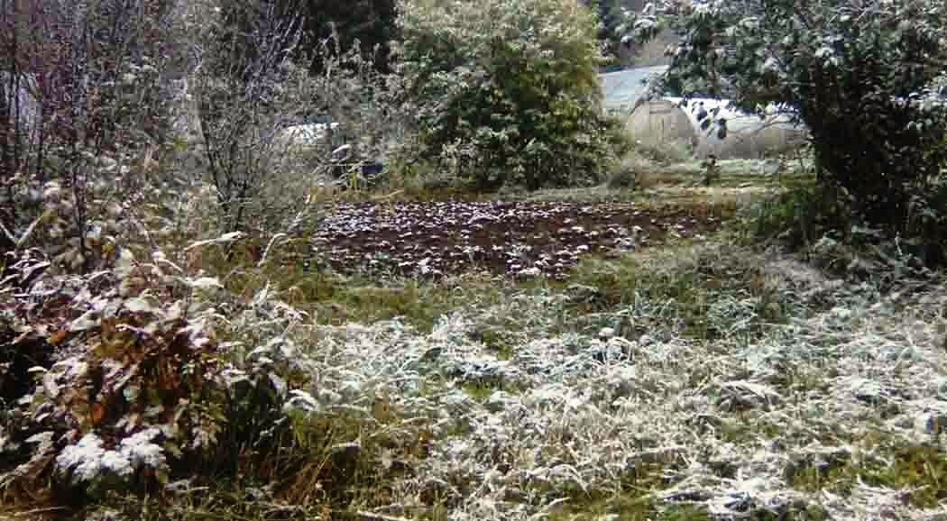 В Прикамье выпал первый снег