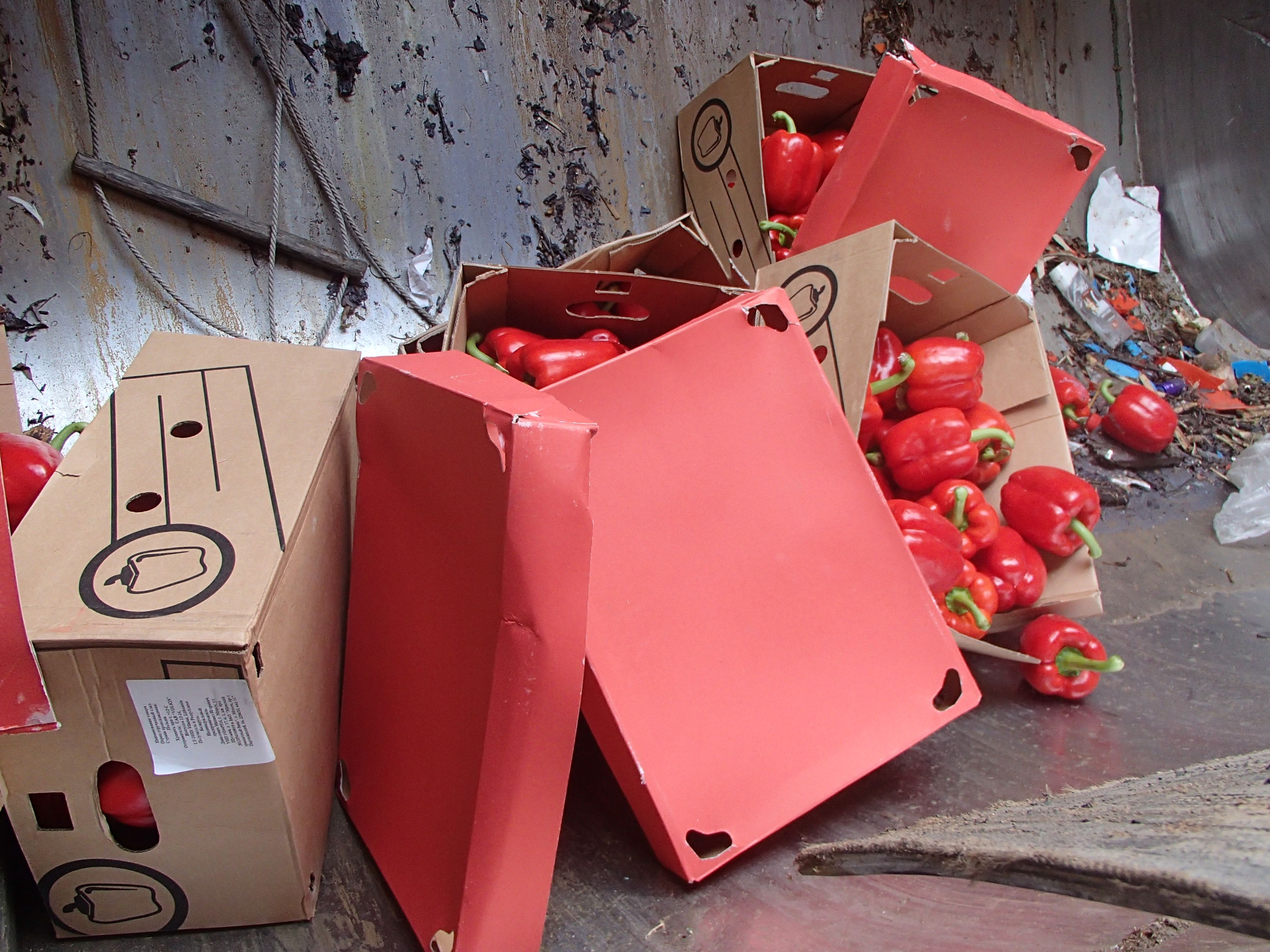 Пермские таможенники уничтожили 41 кг  санкционных овощей