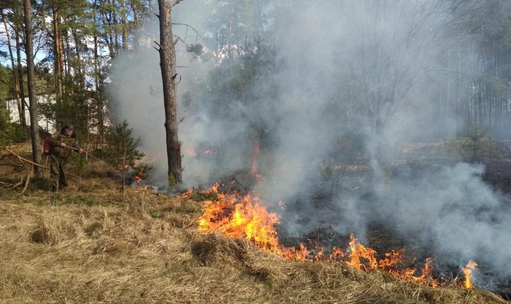 В Пермском крае с 20 апреля запустили пожароопасный сезон