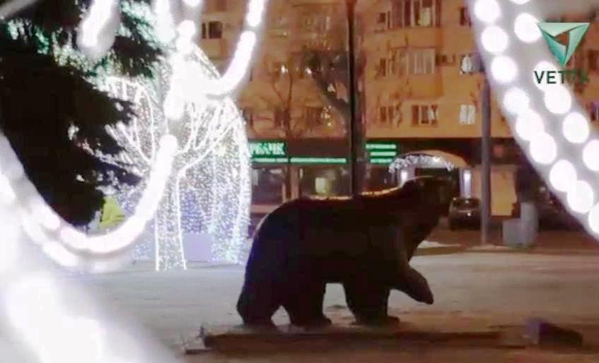 В Перми перенесут скульптуру медведя к центру сквера у гостиницы «Урал»