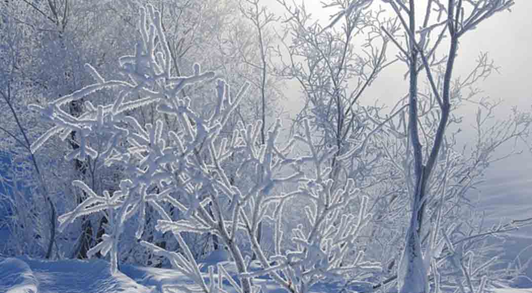 В Прикамье ожидается похолодание до -28 градусов