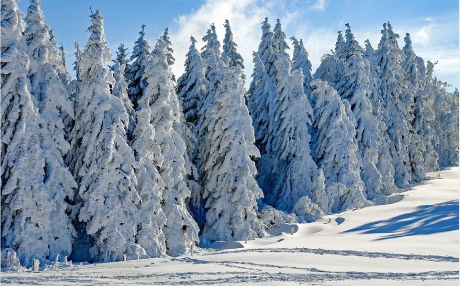 В Пермском крае на этой неделе ожидается похолодание до -23 градусов и снег