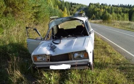 В Пермском крае два человека пострадали в ДТП с лосем