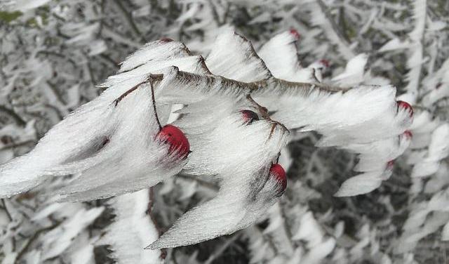 МЧС: в Прикамье ожидается метель, мокрый снег и гололедица