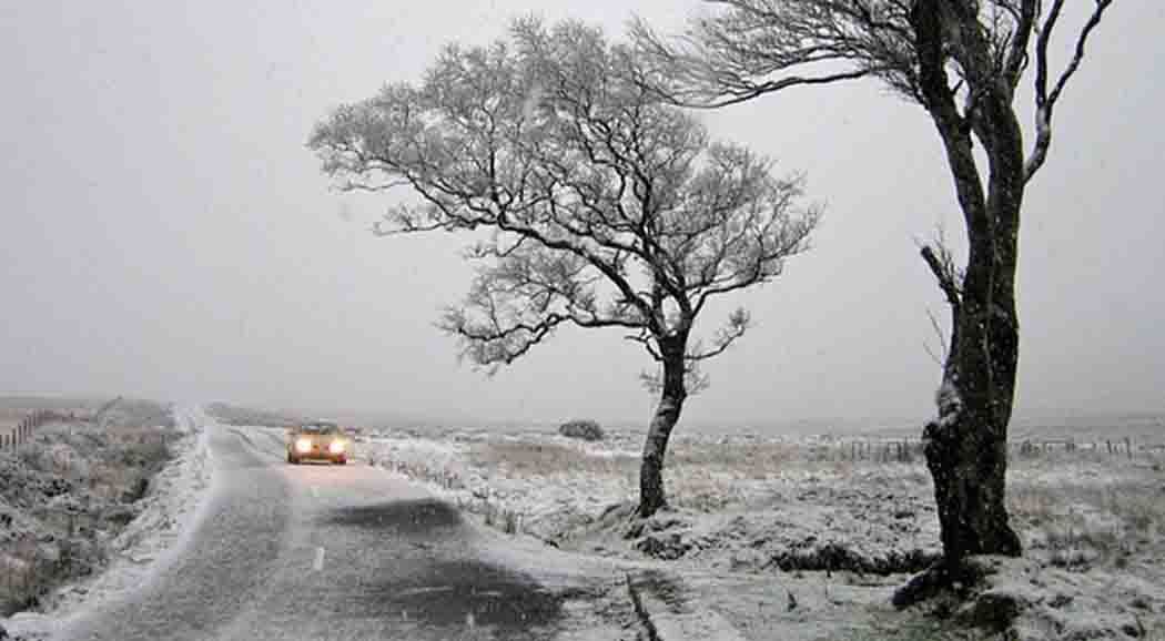 В Прикамье 2 и 3 ноября ожидается сильный ветер со снегом