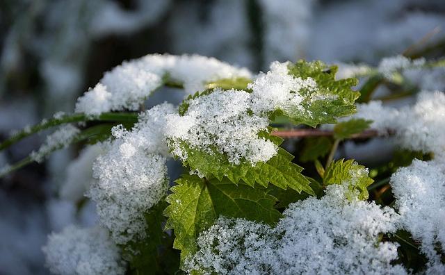 В Пермском крае в конце недели ожидается похолодание до -3 градусов и снег