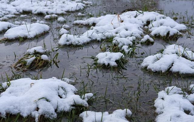 В Перми нашли вмерзший в лед труп мужчины
