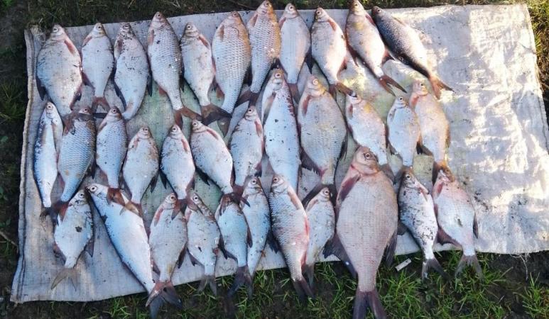 За вылов рыбы в нерест в Прикамье возбудили 4 уголовных дела 