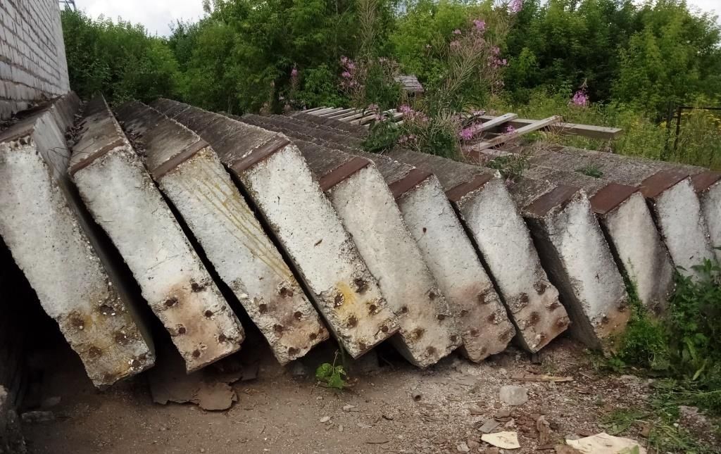 В Прикамье спасатели два дня доставали щенков из-под бетонных плит
