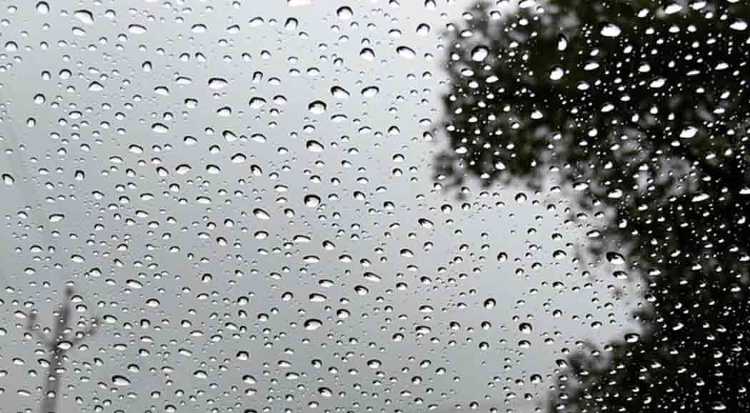 Дождливые выходные ожидаются в Прикамье